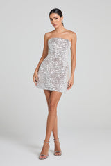 Lucia Silver Dress